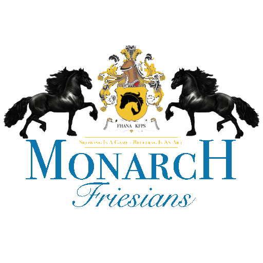 Monarch Friesians