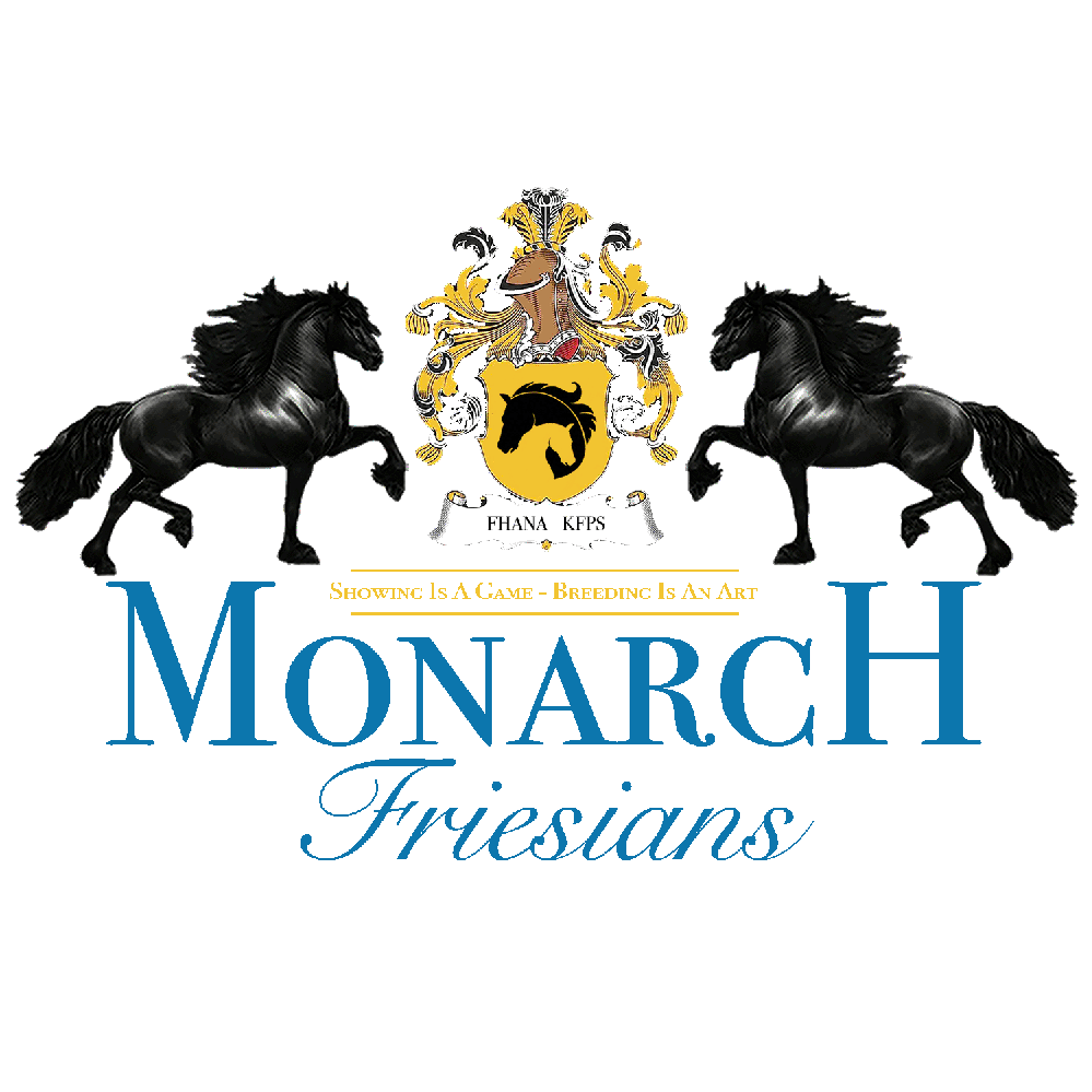 Monarch Friesians